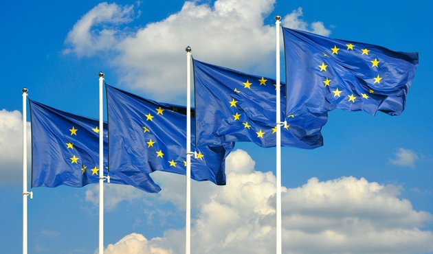 EU flags