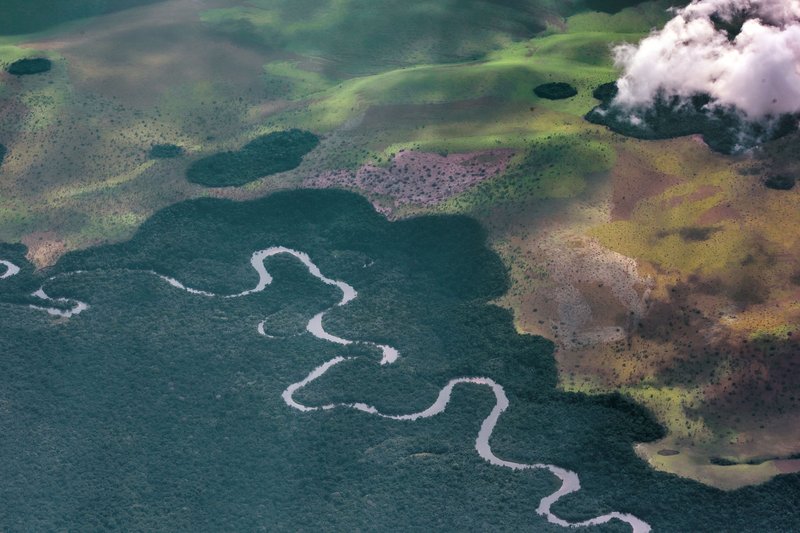 Aerial view of the Congo Basin, where a meandering river winds through tropical rainforest, DRC. guenterguni / Getty