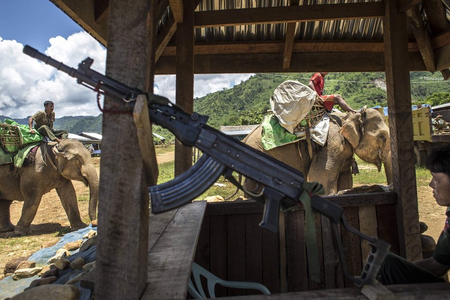 Local area in Myanmar showing elephants and conflict
