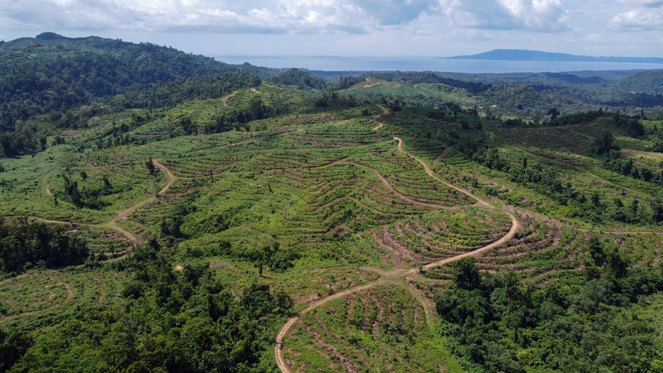 drone view of land that has been cleared for oil palm plantations in the Bainings region of East New Britain, Papua New Guinea