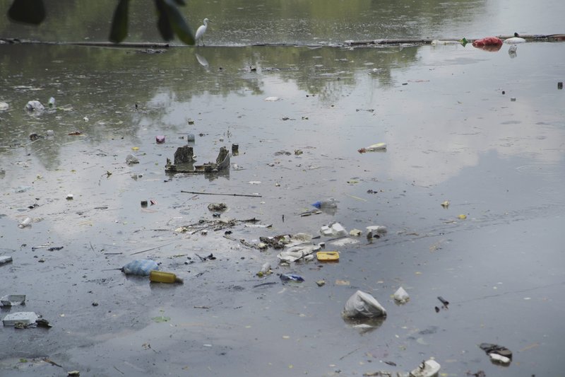 Trash contaminating the San Silvestre wetlands near Patio Bonito, a critical ecosystem harbouring extensive biodiversity