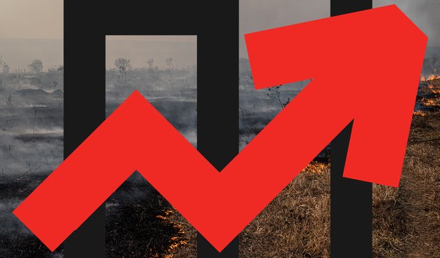 illustration of bar chart and upwards trending arrow overlaid over photo of burning cerrado savannah